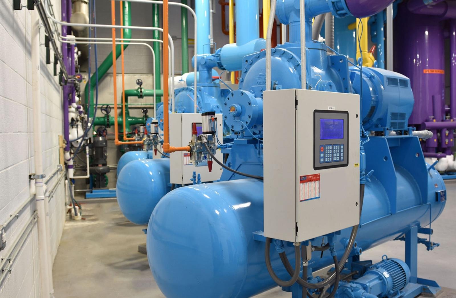 whatsapp image 2025 11 15 at 3.54.45 pm